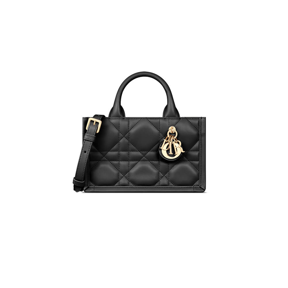 Mini Dior Book Tote