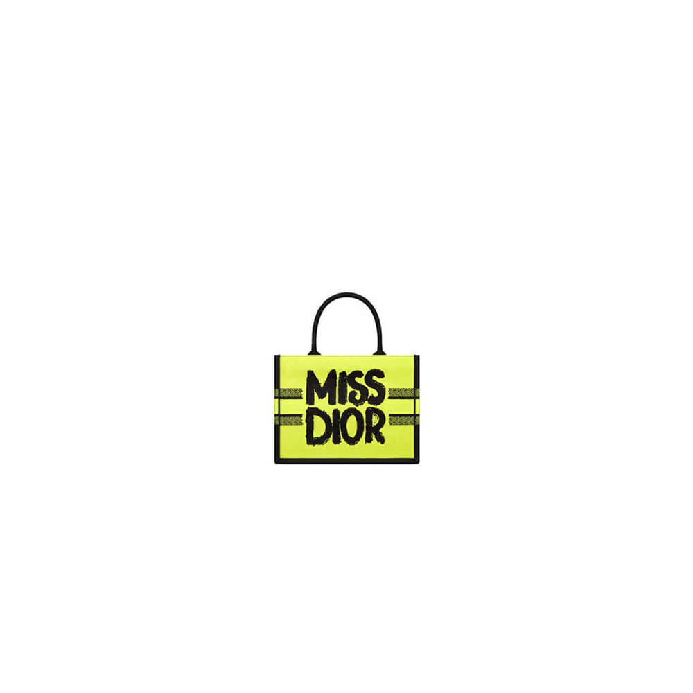 Small Dior Book Tote