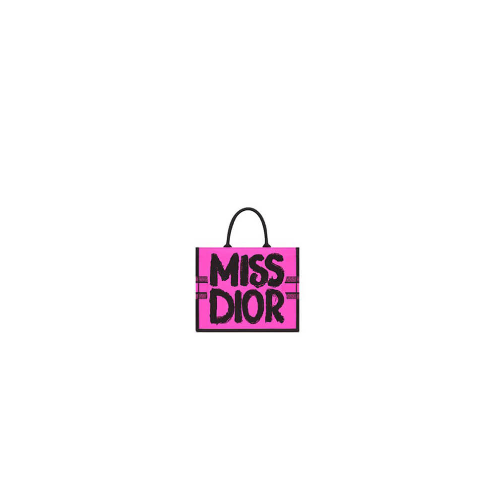 Small Dior Book Tote