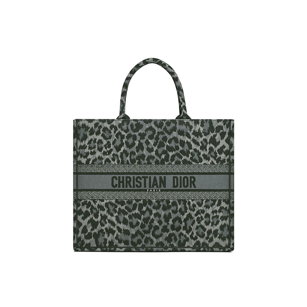 SMALL DIOR BOOK TOTE