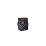 Black CHANEL BACKPACK (high-end grade)